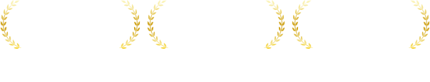 実績