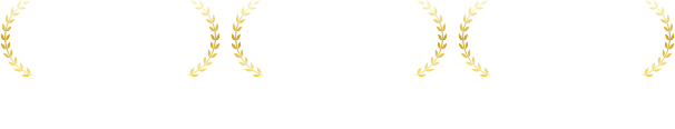 実績