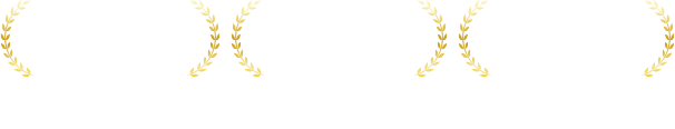 実績
